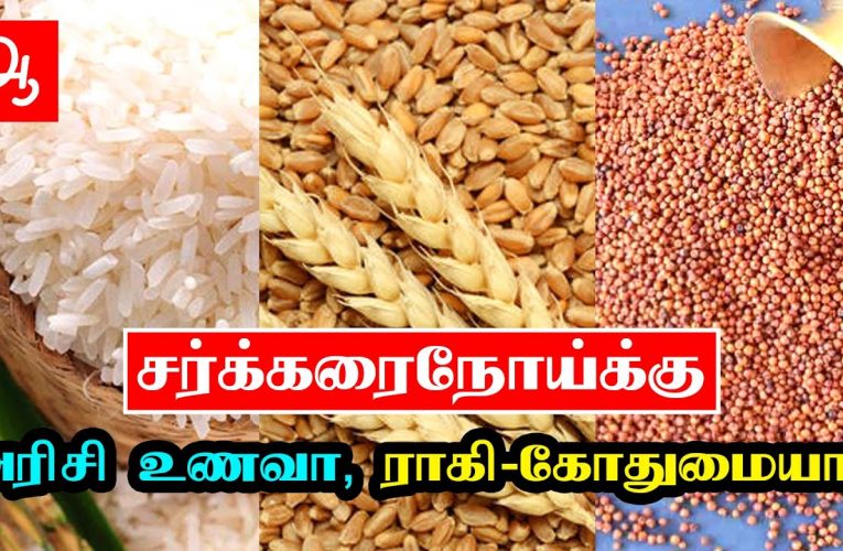 சப்பாத்தி vs ரைஸ் for diabetic food explanation in Tamil