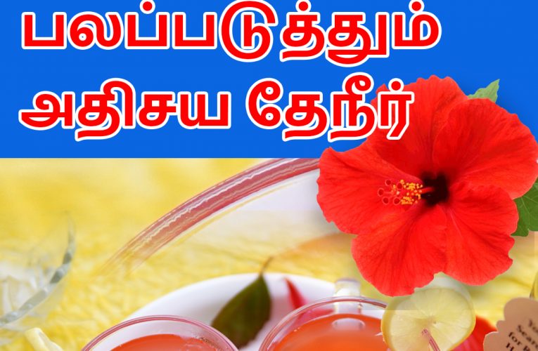 செம்பருத்தி தேநீர் | Hibiscus Tea | Aathichoodi