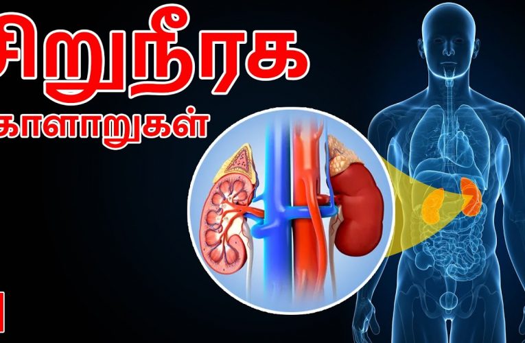 சிறுநீரக பிரச்சினைகள் மற்றும் காரணங்கள் | kidney problems and reasons | Aathichoodi