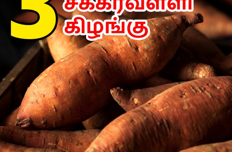 3 நிவாரணம் தரும் சக்கரவள்ளி கிழங்கு | 3 benefits of Sweet potato | Aathichoodi