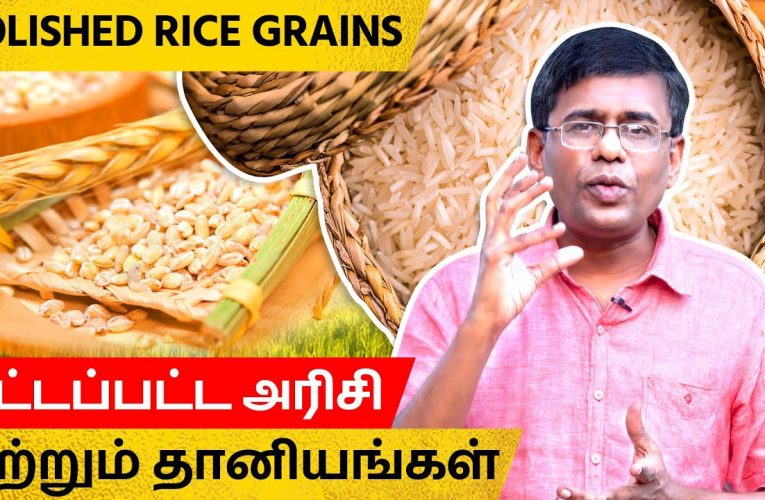 தீட்டப்பட்ட அரிசி மற்றும் தானியங்கள் | Polished Rice & grains | Dr Marutharaj | Aathichoodi