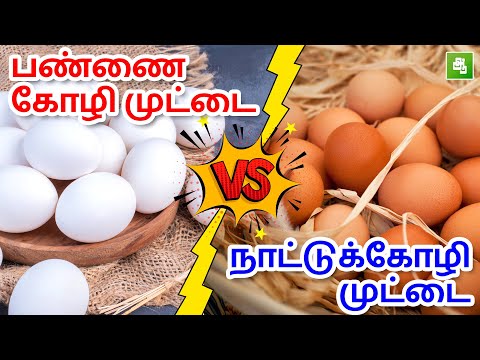 வெள்ளை முட்டையா அல்லது பழுப்புநிற முட்டையா | White egg vs Brown egg | Farm egg vs Desi chicken egg