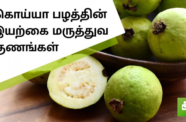 கொய்யாப்பழத்தின் நன்மைகள் | Benefits of guava | Aathichoodi